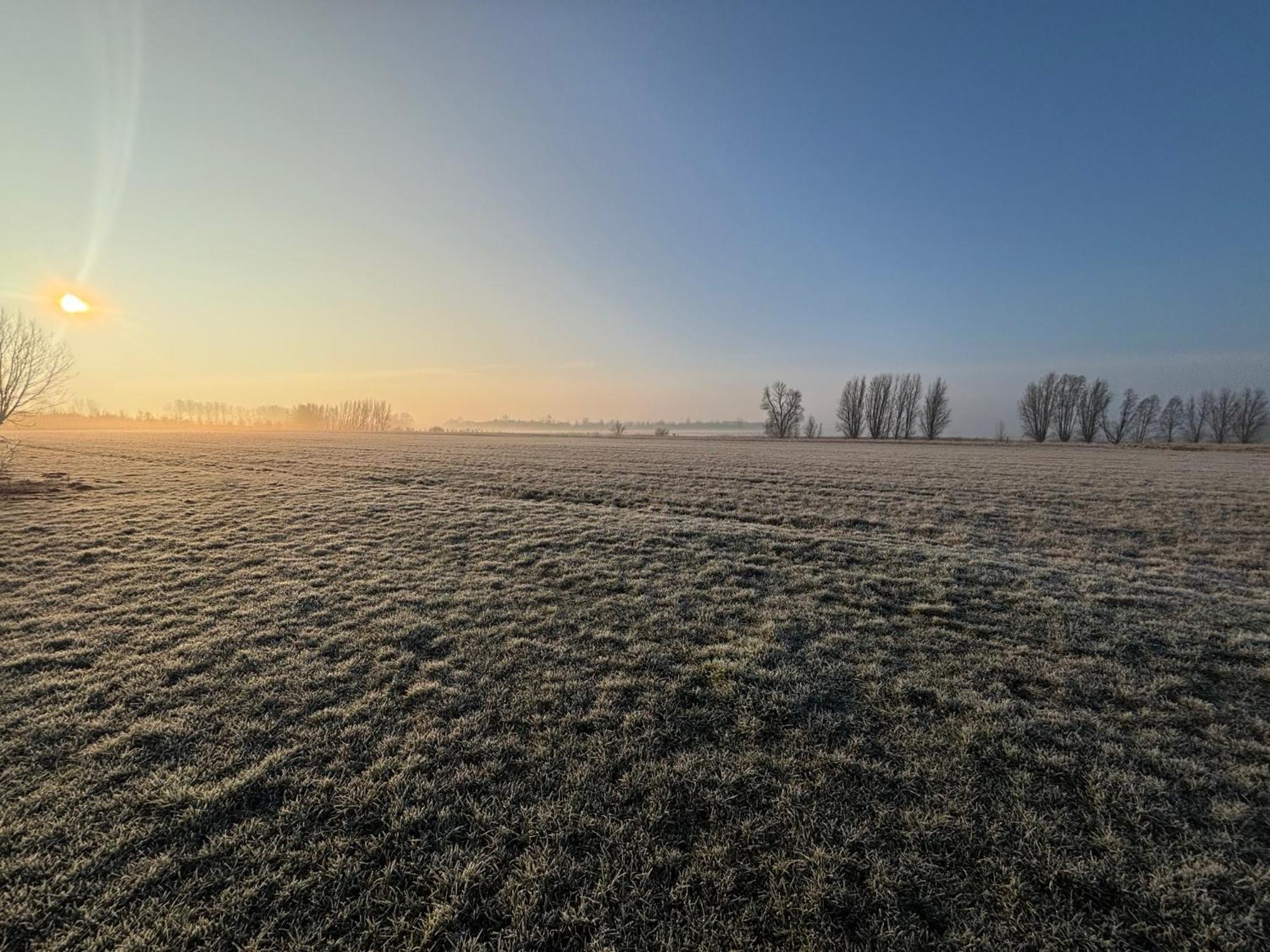 Klein Cambron Daire Hulst Dış mekan fotoğraf